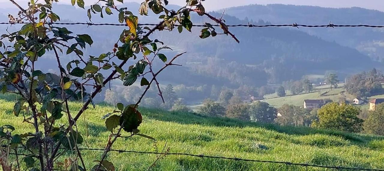 La Mazille , cossy vakantiestudio met zwembad in zuid-Bourgogne Anglure-sous-Dun Esterno foto